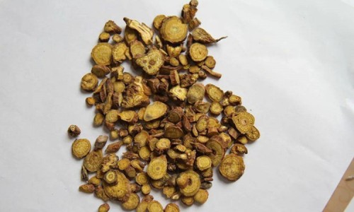 麻芋功效作用与主治-麻榆药用功效与禁忌、麻榆图片功效 -麻榆药用功效网