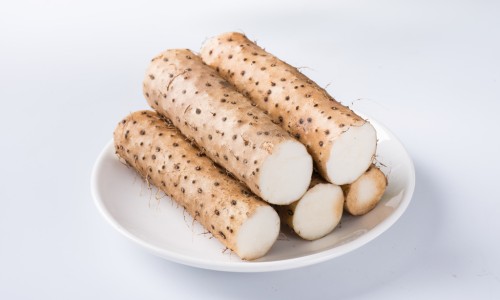 麻耔功效-麻榆药用功效与禁忌、麻榆图片功效 -麻榆药用功效网