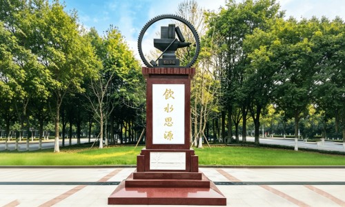 麻楝树又名什么树-麻榆药用功效与禁忌、麻榆图片功效 -麻榆药用功效网